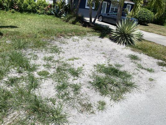 Front lawn ruined from piles of dirt that they refused to remedy