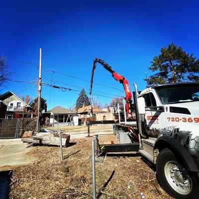 Our Crane can safely and effieciently remove any large hazardous trees that you might be worried about. Less property damage and risk