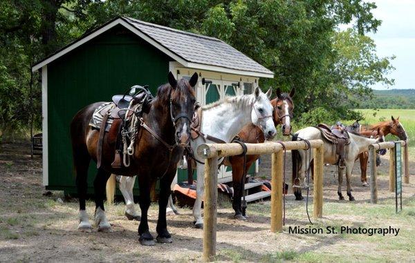 Saddle up and enjoy some spectacular views as you ride along Dinosaur Valley State Park scenic trails...