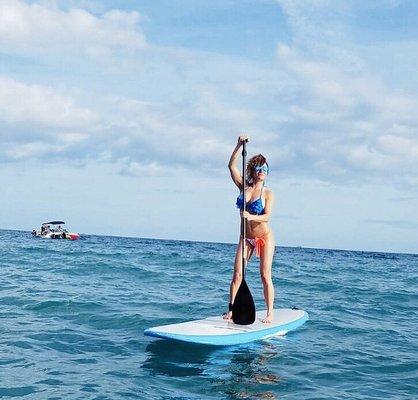 Paddleboard rentals