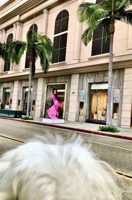 Rodeo Drive