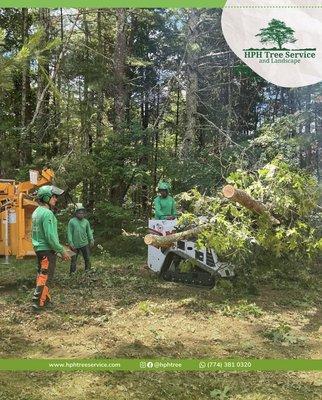 HPH Tree Service And Landscape