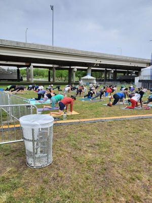 Yoga on the great lawn