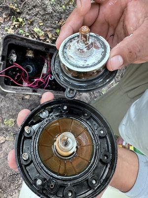 The inside of OLD valve. I was billed for 3 NEW valves.