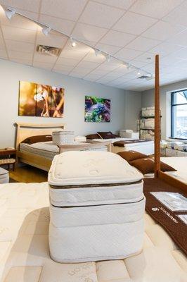 Wellesley Organic Mattress Gallery Showroom