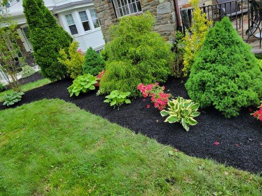 New mulch