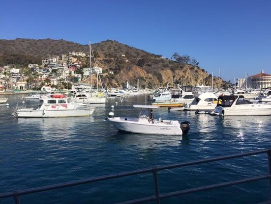 Freedom Boat Club- 23 ft Pro Line center console in Catalina