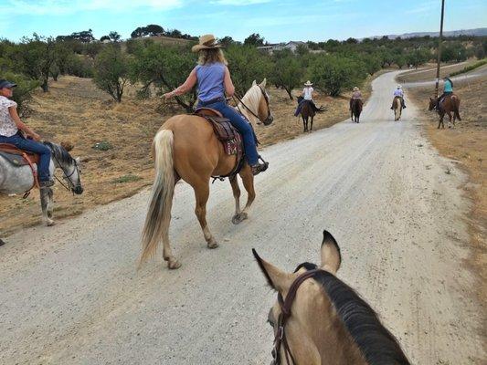 Trail ride