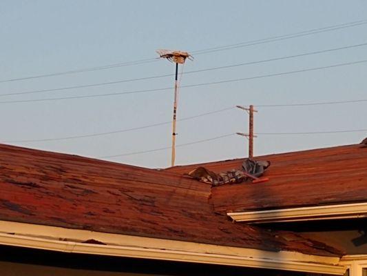 The old roof is gone (maybe 60 years worth of roof!).