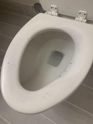 Gross toilet seat.