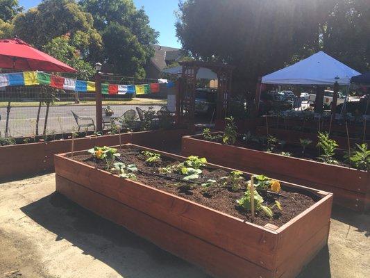 Garden beds.