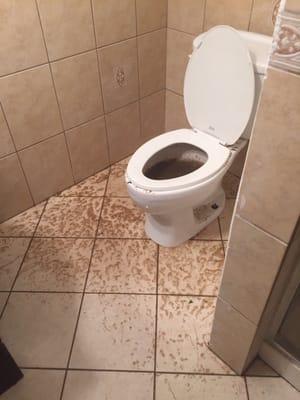 Before and after photos of the technician not emptying the toilet first and the damage that it caused.