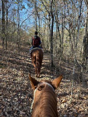 On the trail