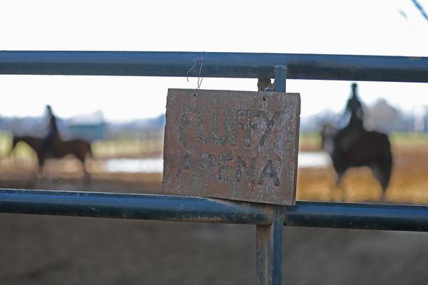 Riding lessons with Jenna