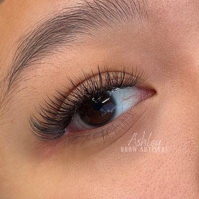 Volume Cat-eye Lash Extensions