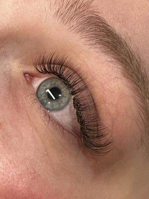 Classic Lashes