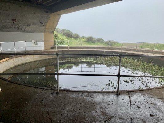 Casemate Gun Emplacement # 1