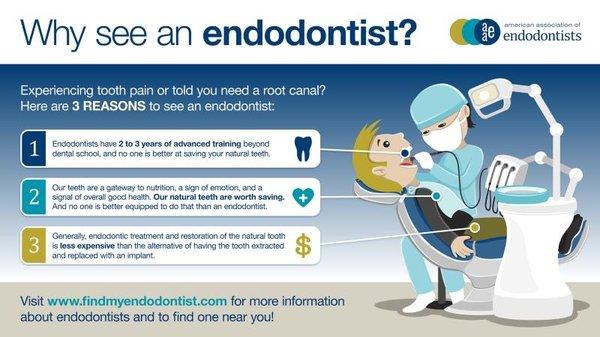 Why see an Endodontist!