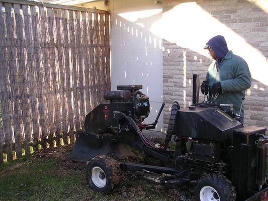 Stump Grinding