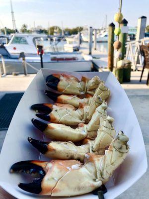 Stone crab claws. Ice cold!