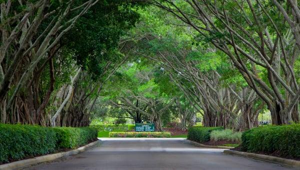 Delightfully Inviting...Naturally Captivating. West Palm Beach Golf at its finest!