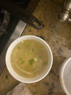 Dumpling soup