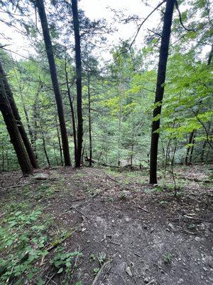 Hiking around one of the trails