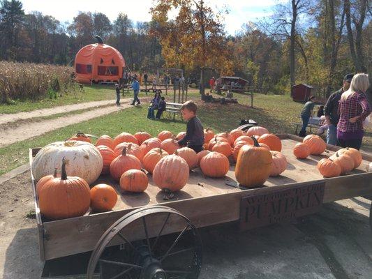 Pumpkins