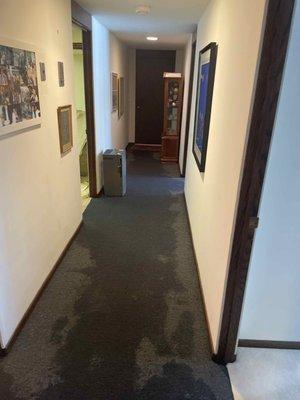 Photos of what a customer found when they came into their basement - Water Damage/Standing Water on their carpets