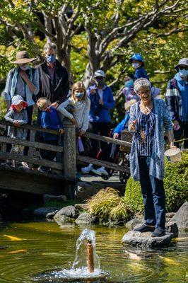 San Mateo Central Park Japanese Garden