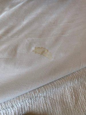 Bed stain