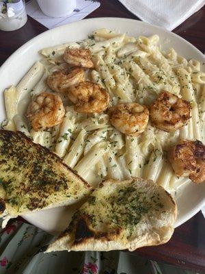 Pasta Pasta W/ Alfredo Sauce (Shrimp added)