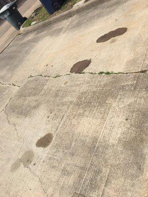 Oil stains on my driveway. I parked my car in different spot just to make sure I can tell it's constantly leaking.