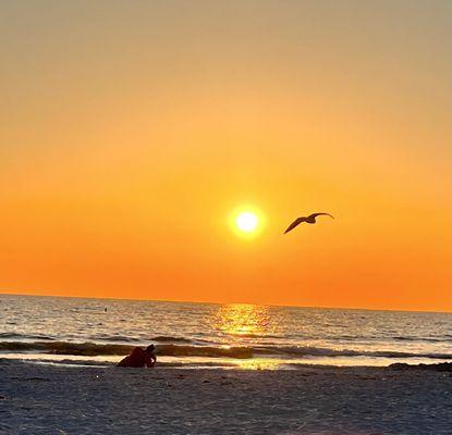 Sunset from beach