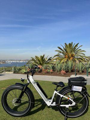 Beachside E-Bikes