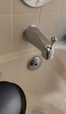 Replacement of diverter tub spout.