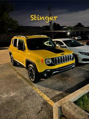 I named her 'Stinger'