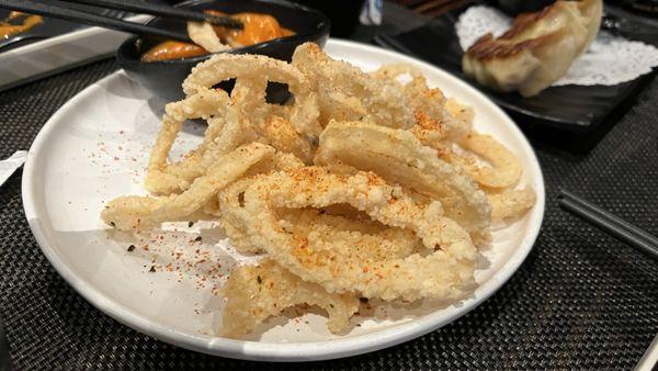 Fried calamari. 1/2024