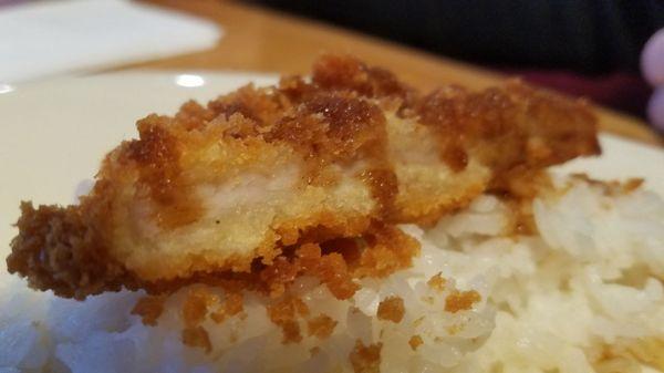 The pork katsu was tough and barely warm