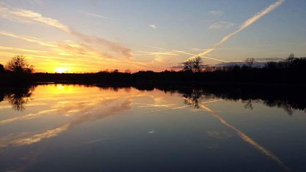 Walter C. Best Wildlife Preserve