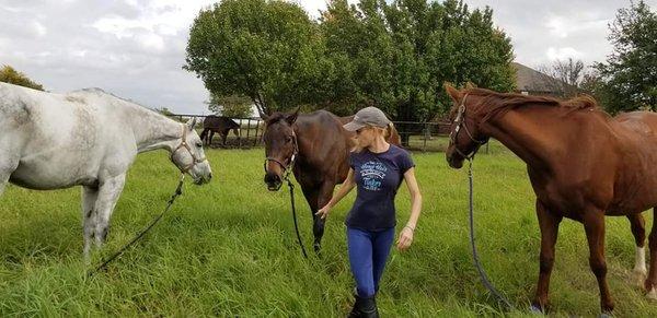 Grassy field fun