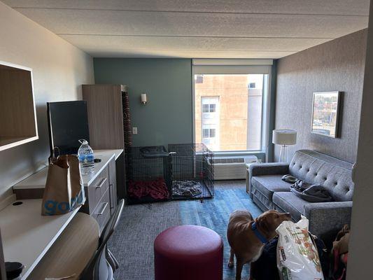 Home2Suites Room