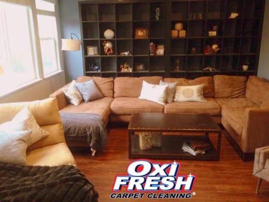 Whatever your upholstery cleaning needs, Oxi Fresh is here to help