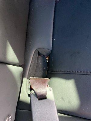 Crumbs still all over the car...