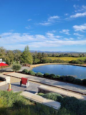 Beautiful views from Armida Winery tasting area. Enjoying a taste of 2021 Poizen