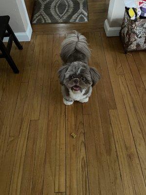 Happy with his new haircut