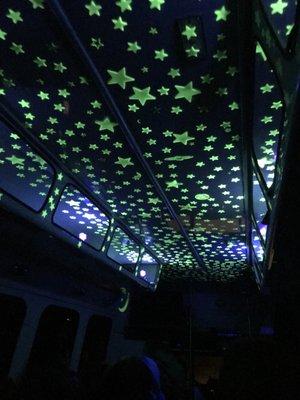 Bus ceiling