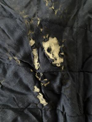 Burned comforter