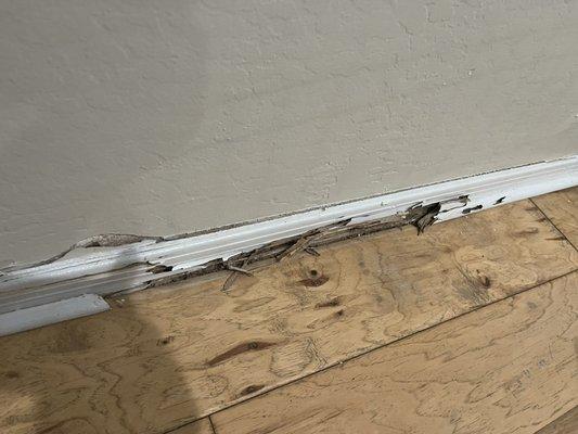 Termites ate this baseboard.