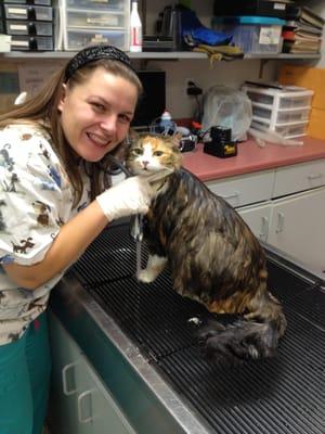 Nothing like giving a bath to a super sweet cat. =)